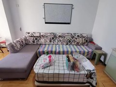 天水麦积麦积城区和谐家园小户型楼房出租，看房电话联系出租房源真实图片