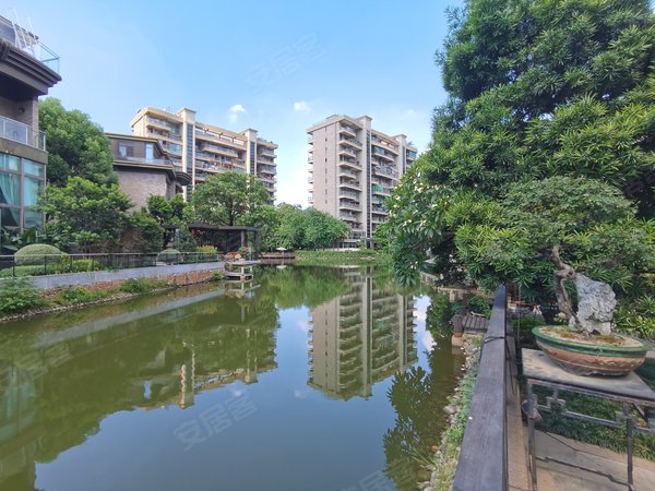 广州番禺星河湾珊瑚湾畔(别墅)珊瑚湾畔独栋别墅337方5房,家私齐全,大