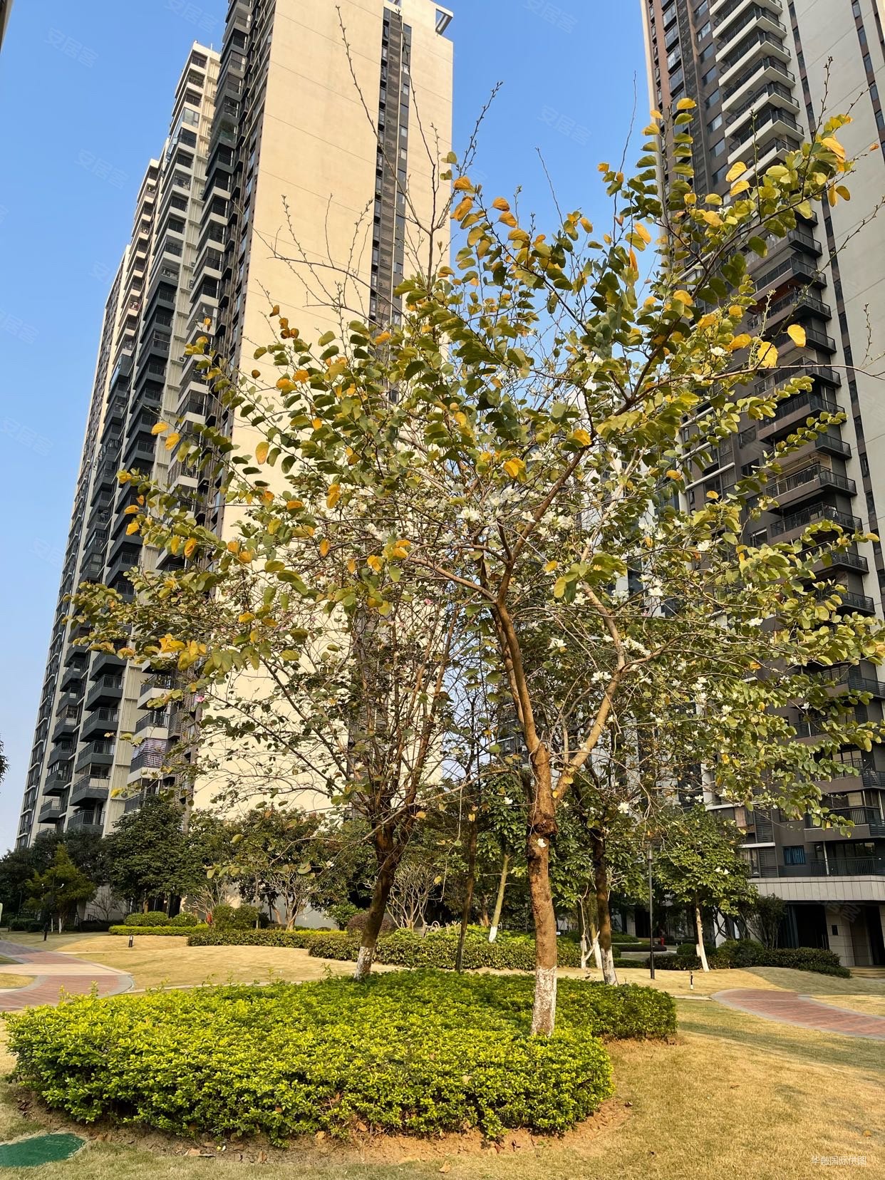 美的御海东郡4室2厅2卫138.51㎡东南116万