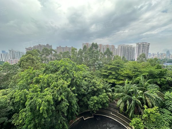 广州天河五山半山雍景苑半山雍景离汇景新城非常近保养非常好居家出租