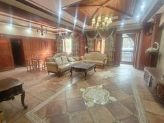 长沙雨花体育新城沙湾公园 类独栋 带大花园 露台  法式装修 可居家 可接待出租房源真实图片