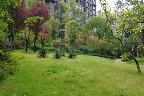 成都小区 近郊小区 简阳市区小区 万峰城a区依云谷 万峰城a区依云谷