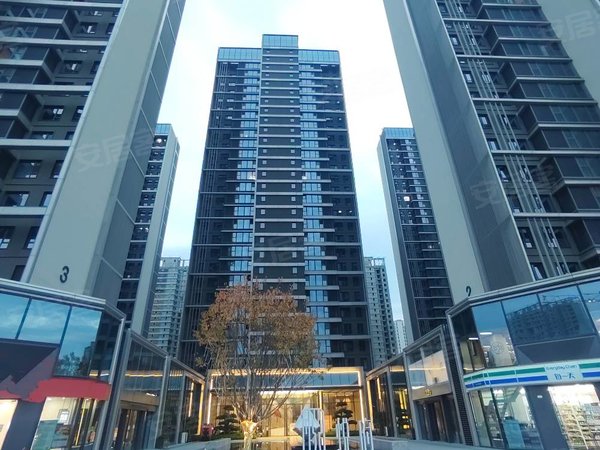 西安雁塔国展中心华润置地悦府华润悦府,会展中心,精装修全配,拎包