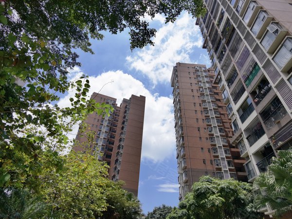 佛山禅城张槎联诚智博丽海花园智博丽海住宅电梯中层南向3室停车方便