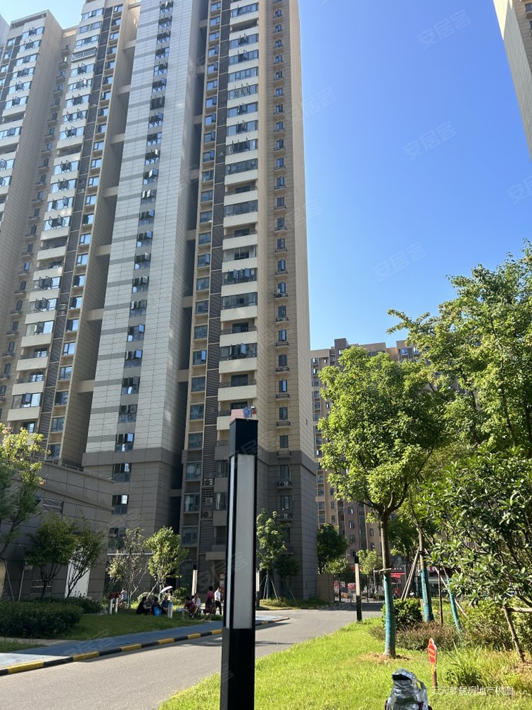 南北通透两房高层老证少税,枫桦苇岸(二期)二手房,50万,2室1厅,1卫