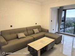 广汉行政广场北区公园急租！出租，装好有2年了，客厅卧室都有空调，带一个空房间出租房源真实图片