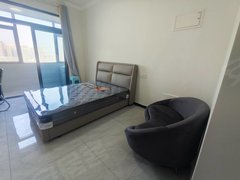 莱芜莱城莱城城区碧桂园精装公寓，空调，家具齐全，800元有钥匙出租房源真实图片