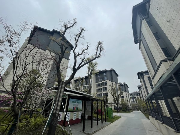 昆山周庄周庄水月源岸花园周庄高端小区,水月源岸花园,精装大3房出租