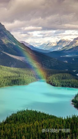 盛世华章运达对面的小区房子南北通透采光好家电齐全直接住