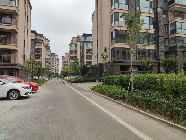 青岛黄岛隐珠剑桥小镇一中 剑桥小镇 精装套三 家具家电齐全 1500出租