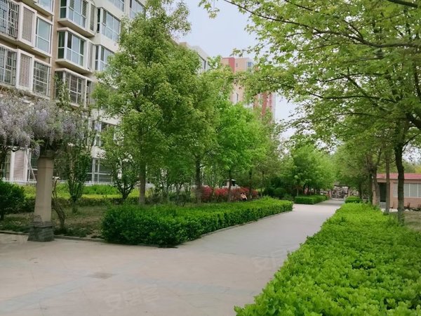 保定雄安新区雄县鑫城小区雄县一室一厅,南北通透户型79平带露台,精