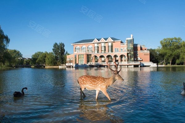 不足,紫玉山庄怎么样,紫玉山庄周边房产中介经纪人评价-北京安居客