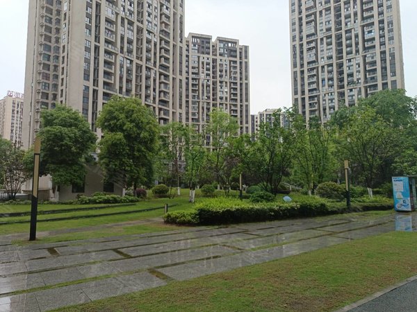 【多图】京汉凤凰城,龙洲湾租房,海洋公园旁边,万达旁边,轻轨旁边