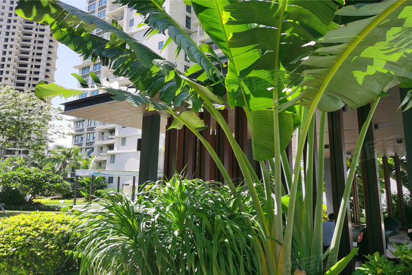 东和福湾(别墅)