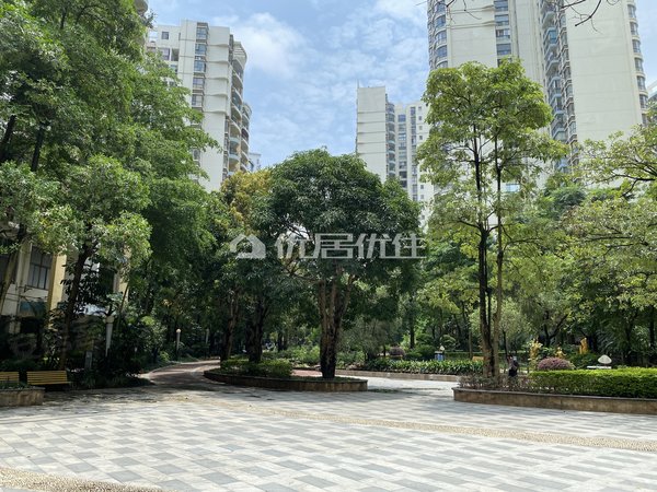 东盟商务租房,保利21世家朝南2房精装修可拎包入住,青秀租房-南宁58