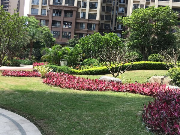 佛山顺德陈村藏珑华府(商住楼)藏珑华府(商住楼) 1室1厅1卫 1050元月