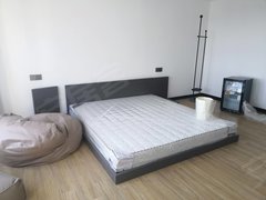 泉州丰泽城东城东奥特莱斯 精装1室1厅1卫  简约风直接拎包入住出租房源真实图片