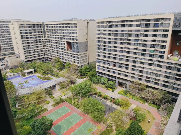 广州花都镜湖大道碧桂园星港国际精致一房,可养宠物,可短租,价格实惠