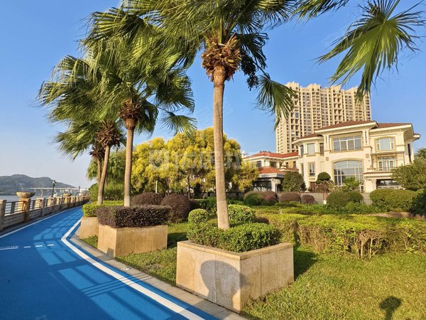 东莞虎门南栅金湾花园滨海湾新区全新精装3房朝南