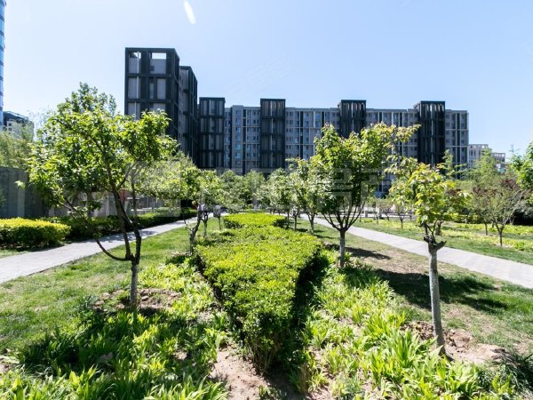 北京朝阳望京北纬40度(东区)业主诚心出租,价格能聊,正南 2室2厅 北纬40度(东区)出租房源真实图片