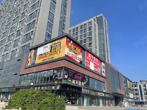 广州花都狮岭联合广场联合广场 1室1厅1卫 49平 精装修 电梯房出租