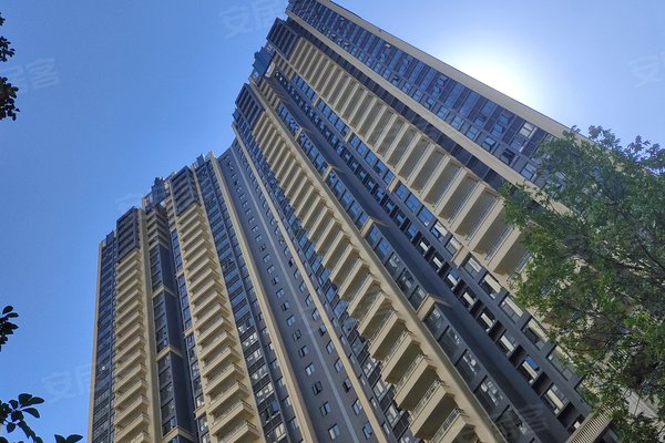 富丰君御 南海-平洲-佛平四路1号