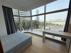 佛山南海金融高新区金融高新区高端公寓小区，全屋定制意式轻奢风，24h管家式服务出租房源真实图片