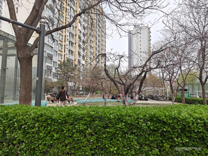 盛和嘉园3室2厅2卫131.55㎡南北93.6万