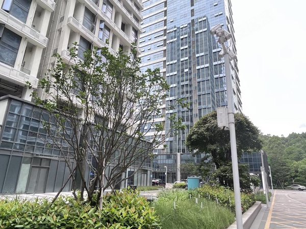 深圳龙岗大运宝德云谷大厦宝德云谷新上两房  出租 拎包入住 近港中大