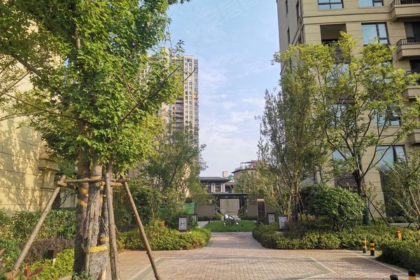 中梁东湖壹号院(别墅)