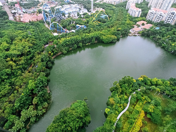 深圳天鹅堡蔡徐坤图片