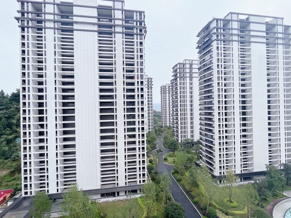 杭州临安临安城区苕溪学府10月可入住,地铁口,一室一厅一厨一卫,朝南