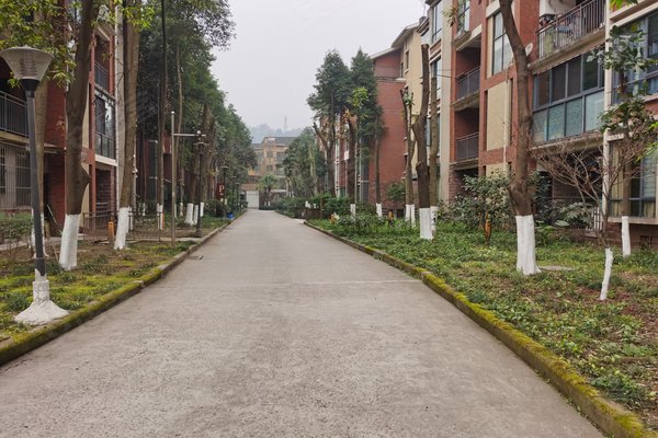 巨豪香溪美林优点,不足,重庆巨豪香溪美林怎么样,巨豪香溪美林周边