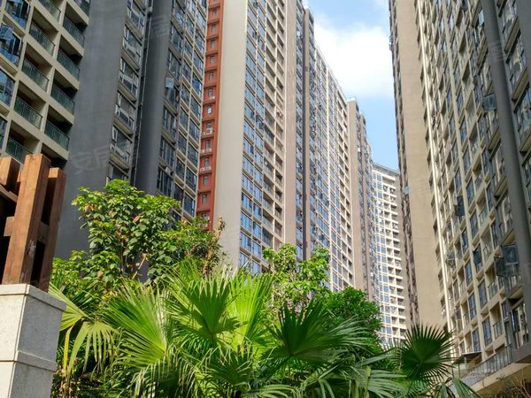 【多图】百丽名苑,观澜租房,靓房急租!