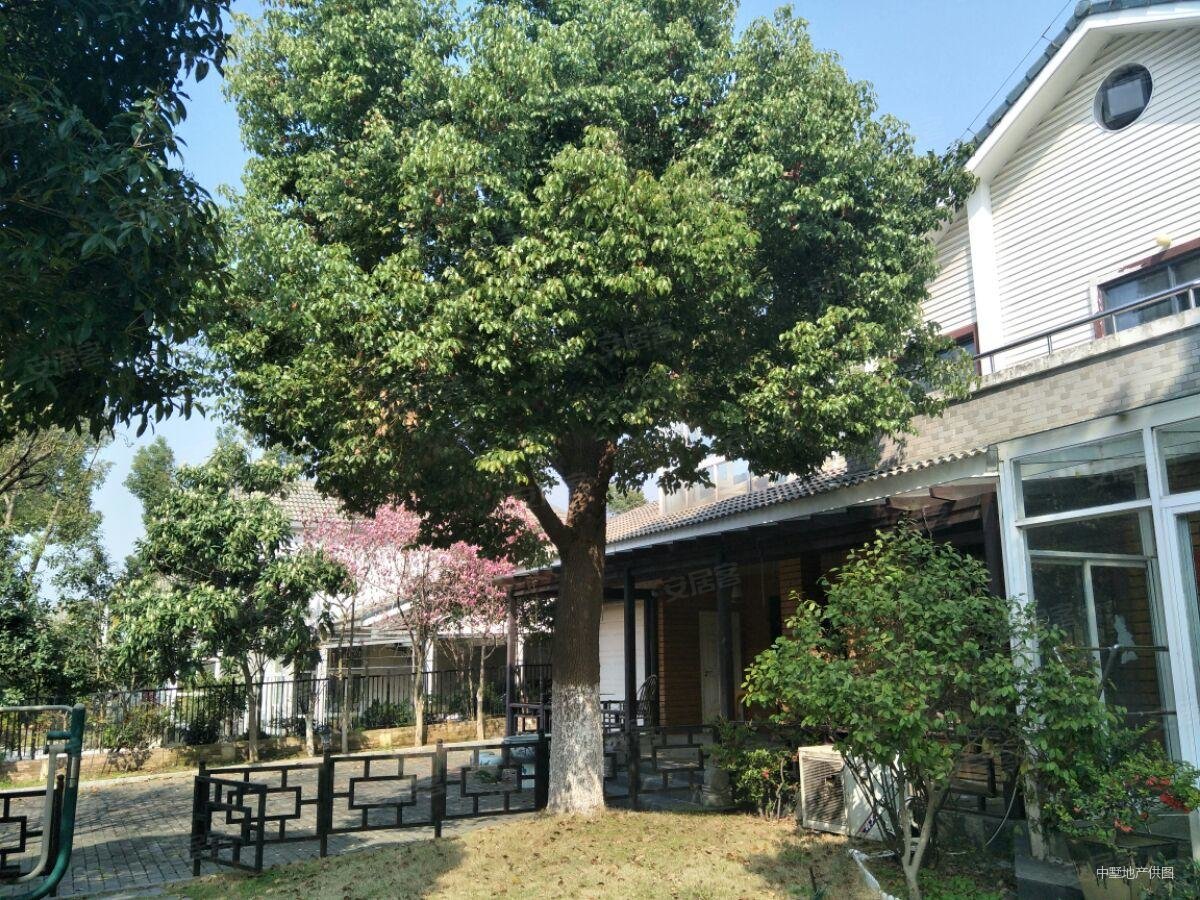 南艳湖乡村花园豪华装修独栋别墅带超大院子位置好