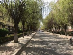 新乡红旗东站十字五普小区(东区) 2室1厅1卫出租房源真实图片