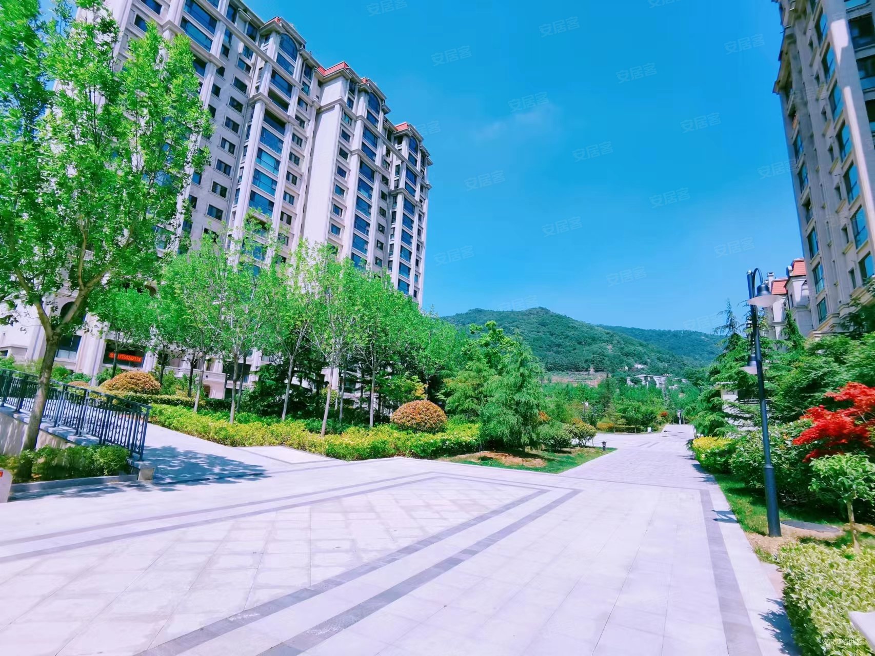 鲁德海德堡,鲁德海德堡二手房,810万,3室2厅,2卫,170平米-青岛安居客