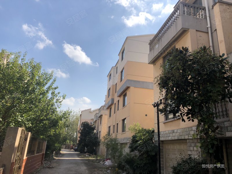 鸿禧山庄联排别墅花园方正位置佳诚心急售