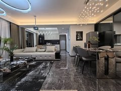 合肥滨湖新区新省府和光逸境横厅大平层 实拍可月付 拎包即住采光好出租房源真实图片