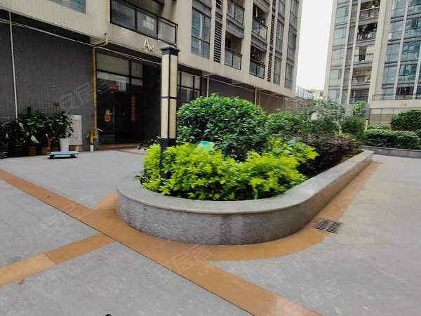 广州花都镜湖大道高晟广场小区随时看房入住 高楼层出租 无异味出租