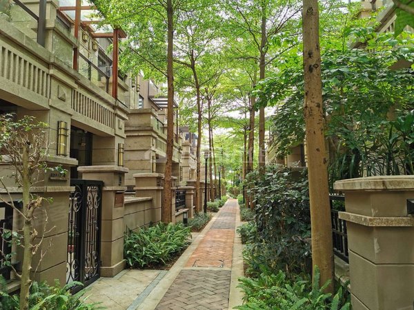 南宁青秀凤岭北荣和公园墅青秀中心,凤岭北豪宅别墅出租,拎包入住