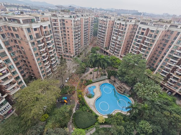 【多图】东圃广场,东圃租房,临步行街精装两房 民水电 近地铁 保真