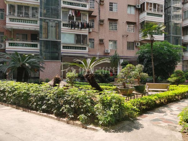 广州海珠广州塔新鸿花园新鸿花园 精装两房 钥匙随时看房 如图实拍