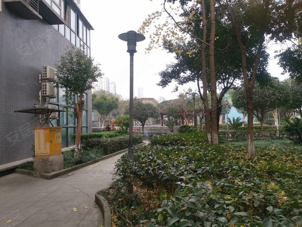 重庆九龙坡巴国城广田巴国绿云巴国城后门   精装电梯三房出租 1500元