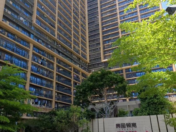 奥园领寓45平上下楼双锁匙套房年轻人打卡地网红小区,惠城租房-惠州58