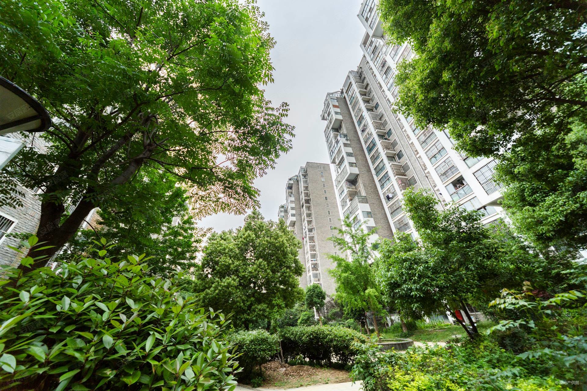 帝豪星港湾3室2厅1卫92.68㎡南北165万