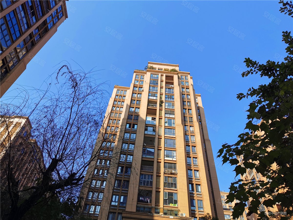 桐梓林欧城2室2厅1卫88.14㎡南北252万