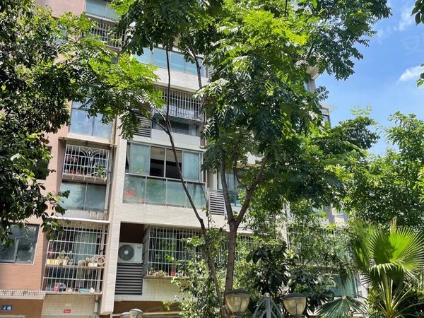 德阳旌阳城南和泰锦苑五州广场政务中心旁 电梯三室出租 带家具家电