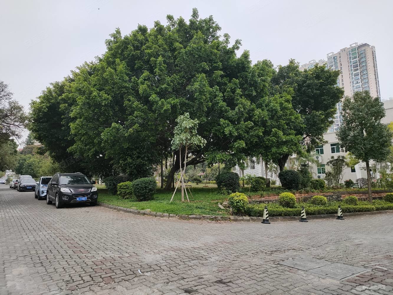 东海滨城翡翠园独体别墅位置佳大门边坐北朝南证满证齐