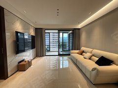 丽水莲都怡景/银苑银泰城附近 泰悦湾高端小区 四室两厅两卫 豪华装修 带车位出租房源真实图片